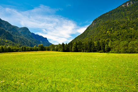 高山景观