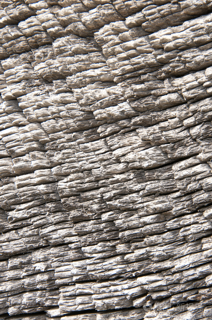 抽象纹理老的干碎木