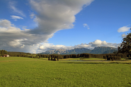 View of the Alps in Allgu