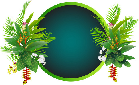 绿色和白色标志背景照片