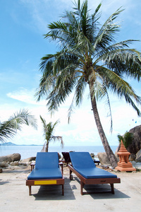 棕榈树与热带海滩上椅子