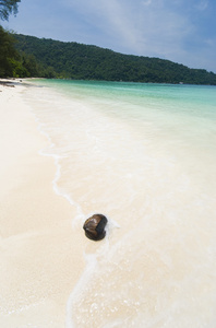 蓝色海滩与一个椰子