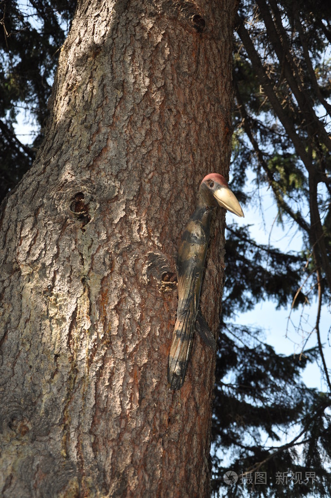 一棵树上的木制啄木鸟