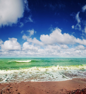 夏天海背景