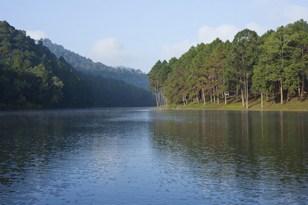 与松树树湖景观