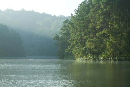 与松树树湖景观