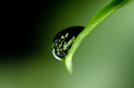 水的几点思考