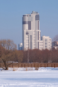 冬季风景与现代高层建筑后森林图片