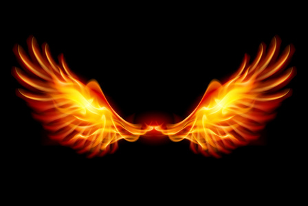 燃烧的翅膀蝴蝶或飞蛾华丽的花朵组成.