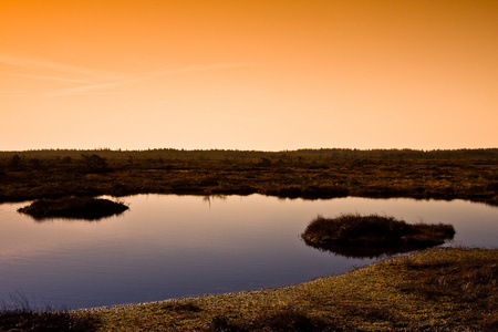 沼泽湿地景观与在爱沙尼亚的小岛