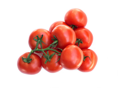 许多新鲜红蕃茄在绿枝上白色隔离