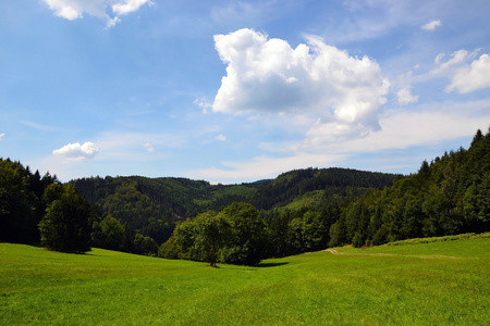 在夏天的乡村景观小村田園風景