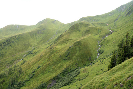 山风景