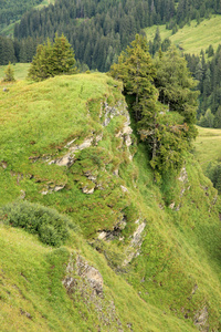 山风景