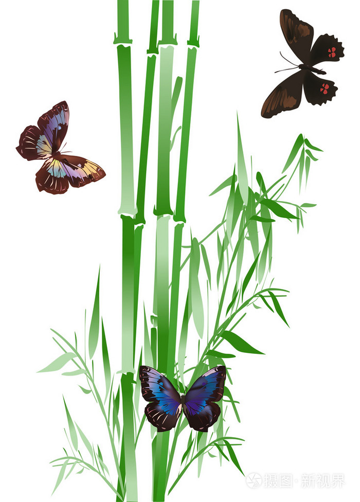 蝴蝶和白绿色竹
