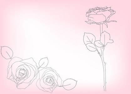 粉红色月季花素描