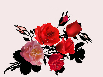 束红色和粉色的玫瑰