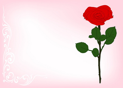 粉红色的背景上明亮红色玫瑰花卉