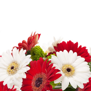 白色和红色的花，gerber 的花束