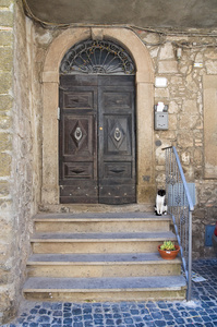 木质门。montefiascone。拉齐奥。意大利