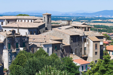 montefiascone 的全景视图。拉齐奥。意大利