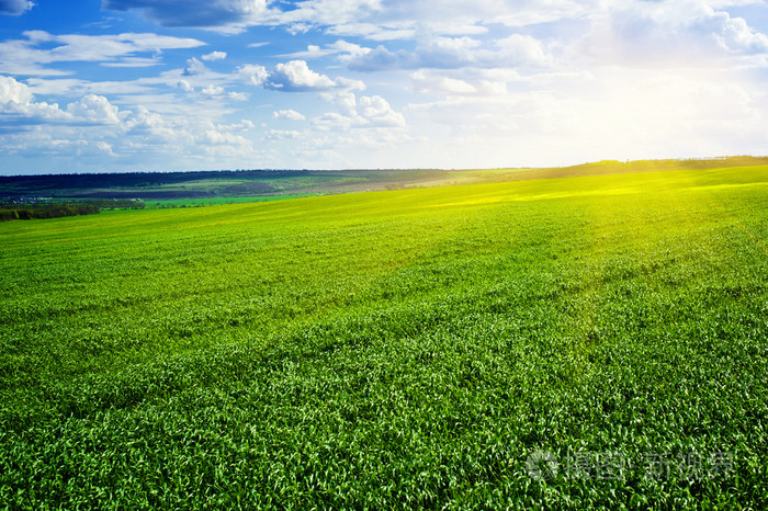 美丽的绿色领域和云