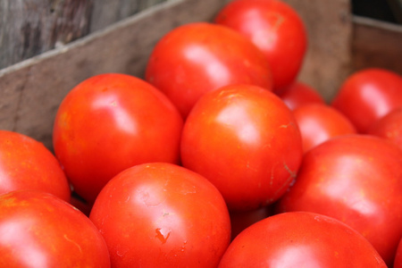 一些红色的西红柿图片