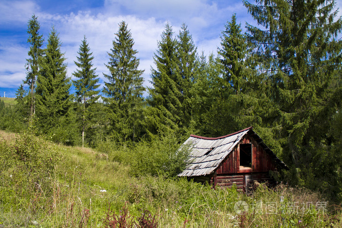 在森林里的房子