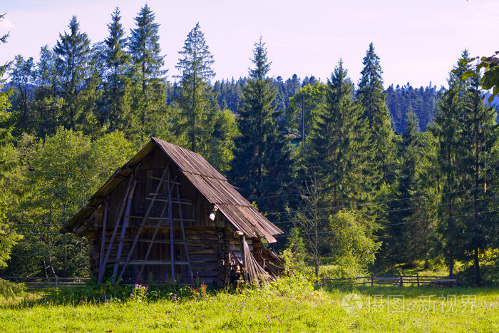 在森林里的房子