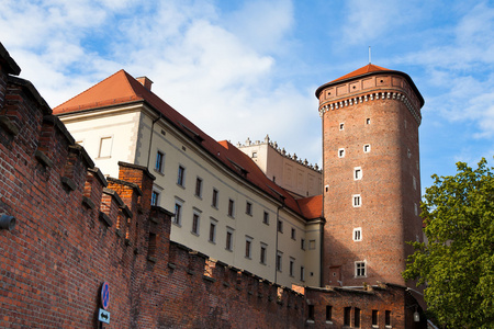 瓦维尔城堡，克拉科夫，波兰