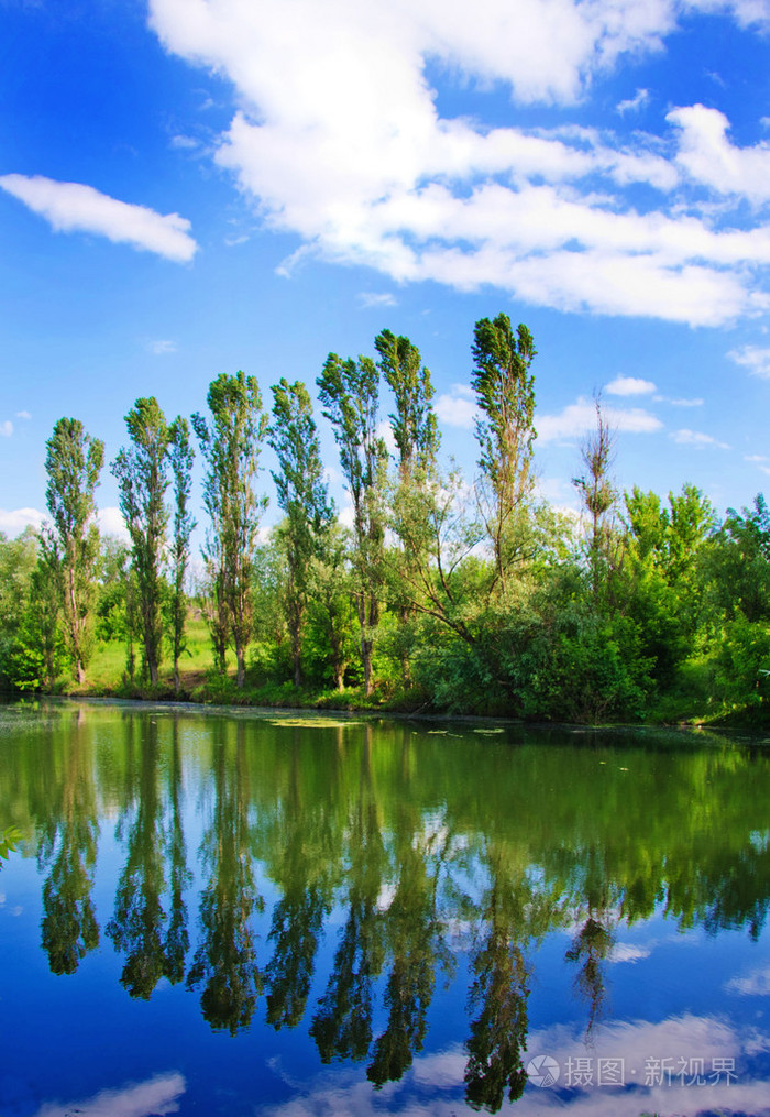 景观湖与树