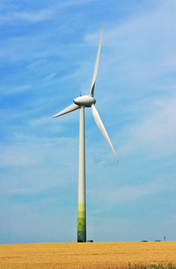 小麦字段和风力涡轮发电