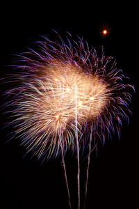 烟花爆炸对夜晚的天空