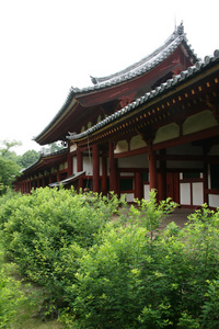 东大古寺，奈良，日本