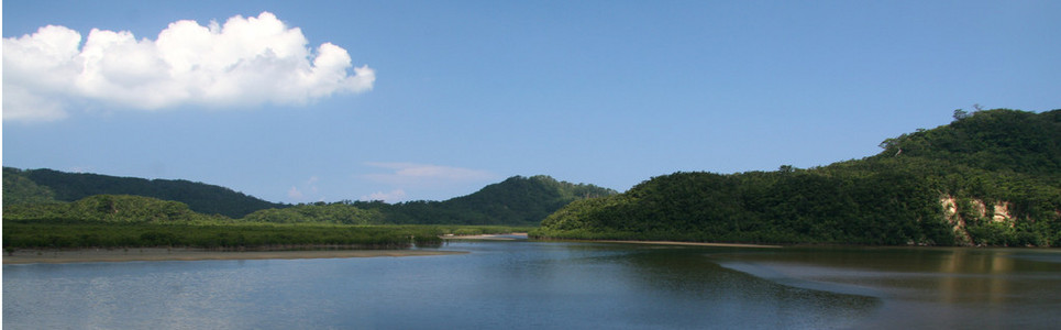 西表岛 冲绳岛 日本川河