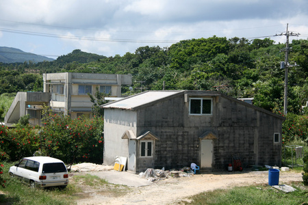 西表岛岛 冲绳岛 日本