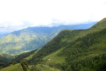 山风景