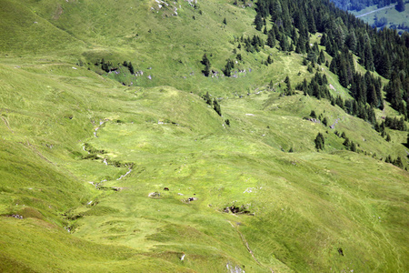 在阿尔卑斯山风景