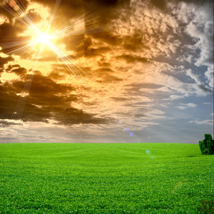 设置字段的草和完美的蓝色天空太阳