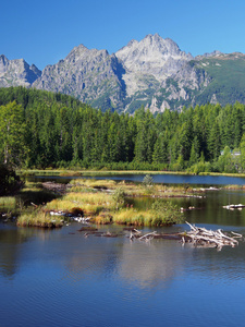 斯洛伐克高塔特拉山区在夏天 strbskepleso