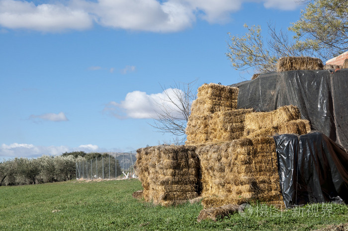 捆干草堆