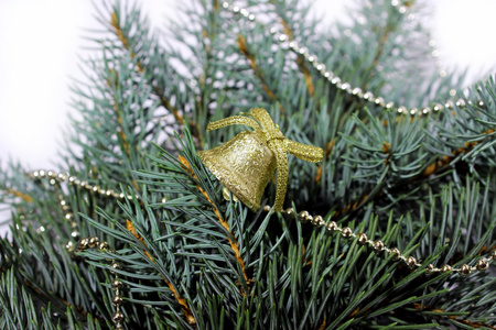冷杉分支 松树 绿色 铃 圣诞节 新的一年