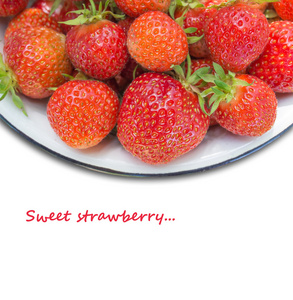 freshs 草莓