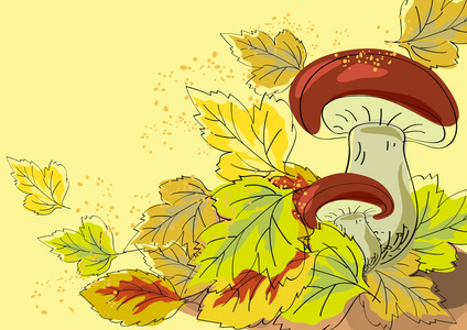 真菌和秋天的树叶