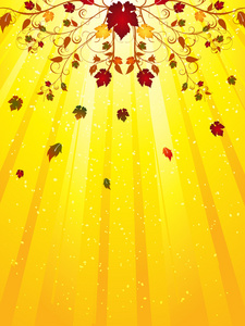 金爆星背景上抽象秋天一棵树