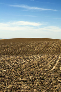 农业土地土壤和蓝色天空照片
