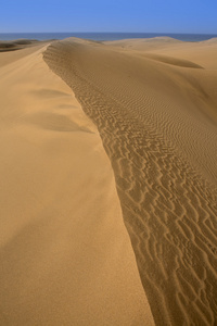 沙漠沙丘沙在马斯帕洛马斯大加那利岛