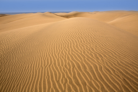 沙漠沙丘沙在马斯帕洛马斯大加那利岛