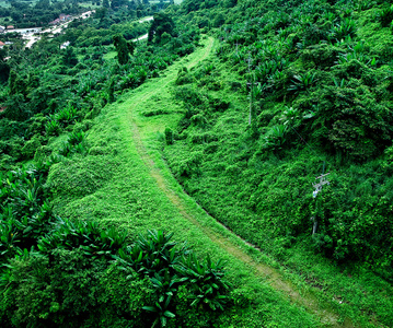 在山的旧路