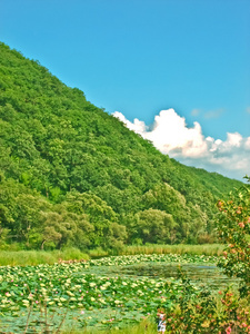 美丽的风景